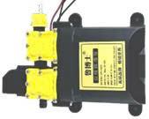 Máy phun sương 12V ĐÔI VÀNG CÓ Rơ le  ( DP-1436 )